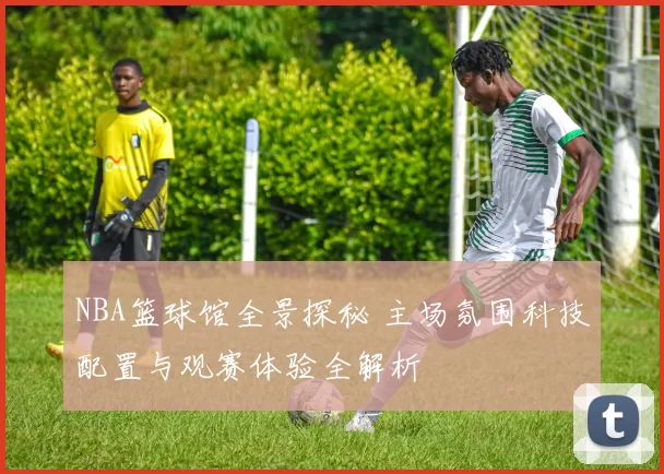 NBA篮球馆全景探秘 主场氛围科技配置与观赛体验全解析