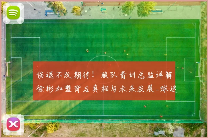 伤退不改期待！狼队青训总监详解徐彬加盟背后真相与未来发展_球迷_成长潜力_中国球员