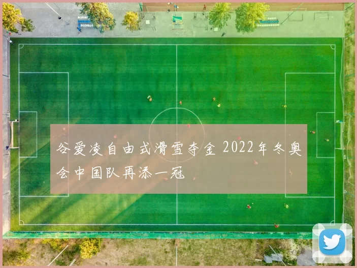 谷爱凌自由式滑雪夺金 2022年冬奥会中国队再添一冠