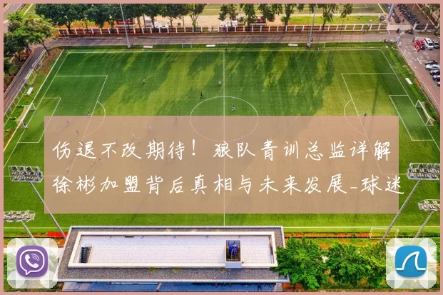 伤退不改期待！狼队青训总监详解徐彬加盟背后真相与未来发展_球迷_成长潜力_中国球员