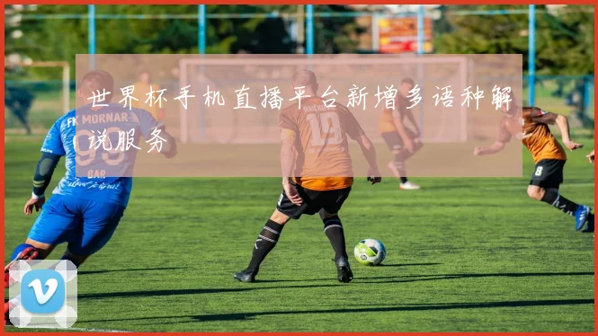 世界杯手机直播平台新增多语种解说服务
